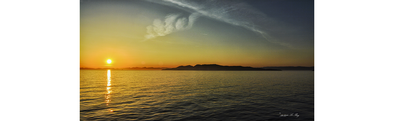 6 en tant qu'objet dynamique - 1